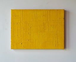 Peter Lynch tbc 31 x 41 x 2 cm acrylic on canvas