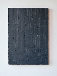 Peter Lynch TBC 43 x 31 x 2 cm acrylic on plywood